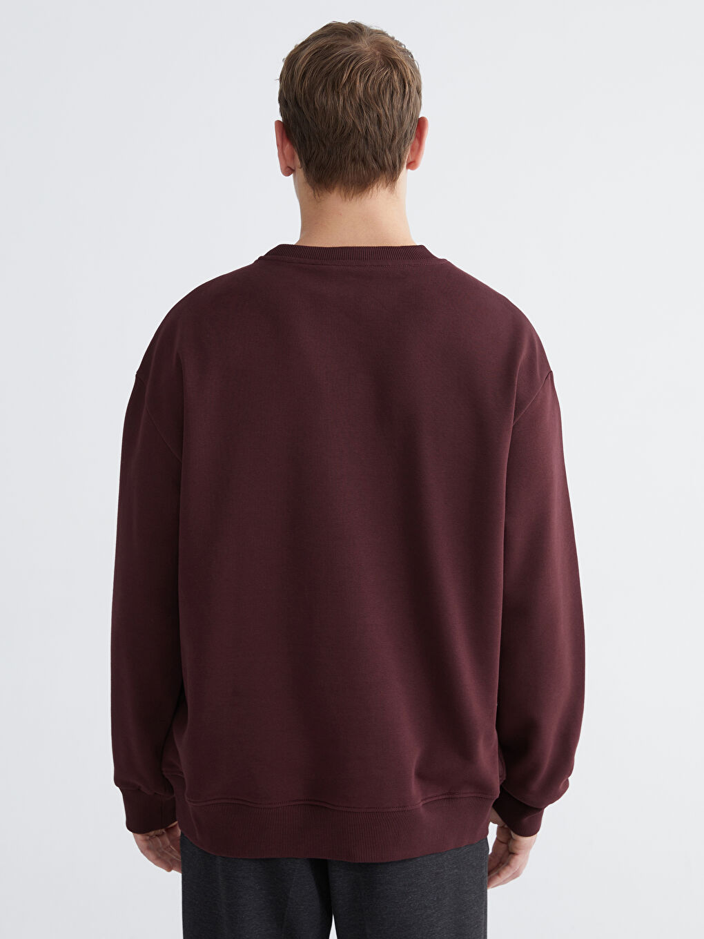 Crew Neck Printed Men's Thick Sweatshirt-3