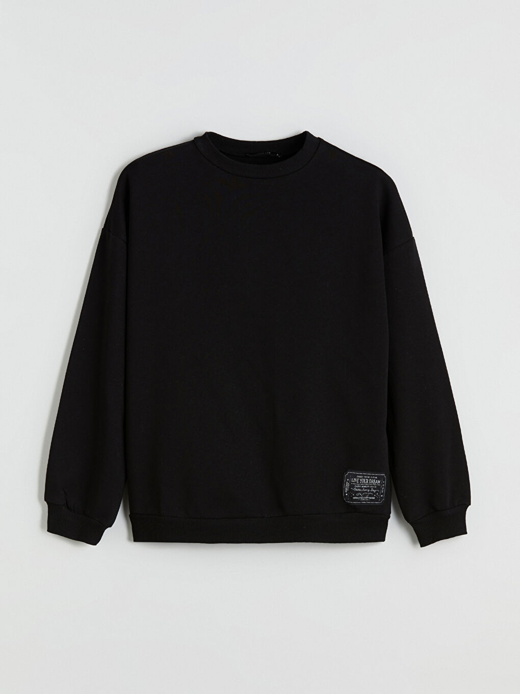 LCW ECO Crew Neck Embroidered Oversize Women's Sweatshirt -W5GU58Z8-CVL