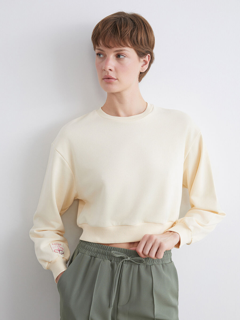 LCW ECO Crew Neck Embroidered Women's Sweatshirt -W5GU61Z8-V9H