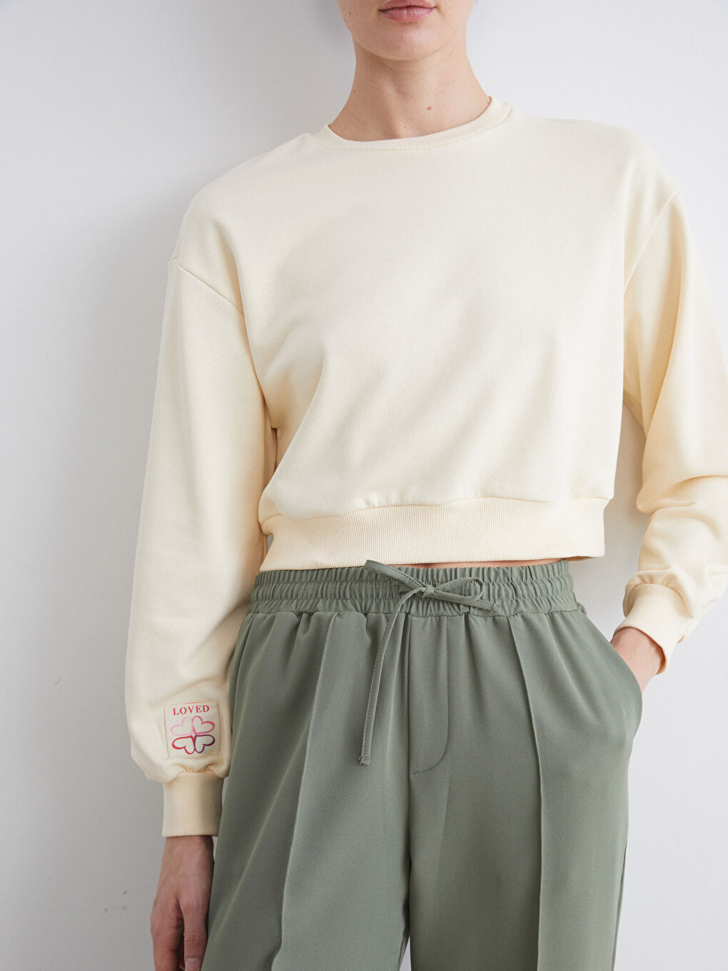 LCW ECO Crew Neck Embroidered Women's Sweatshirt -W5GU61Z8-V9H