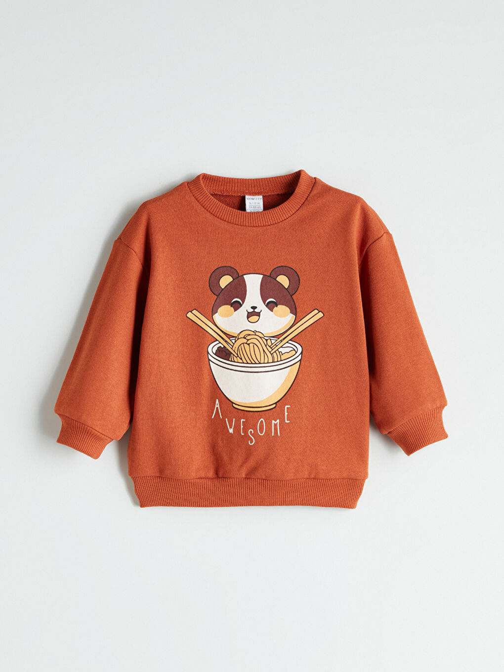 Crew Neck Printed Boys' Sweatshirt
