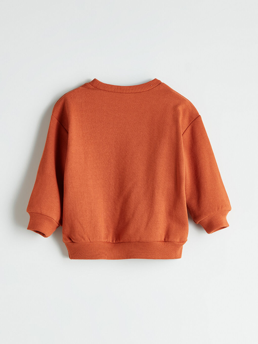 Crew Neck Printed Boys' Sweatshirt-2