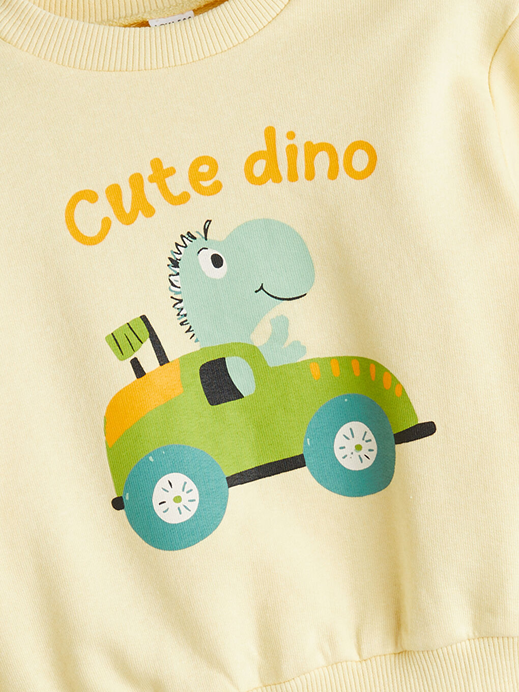 Crew Neck Printed Boys' Sweatshirt-1