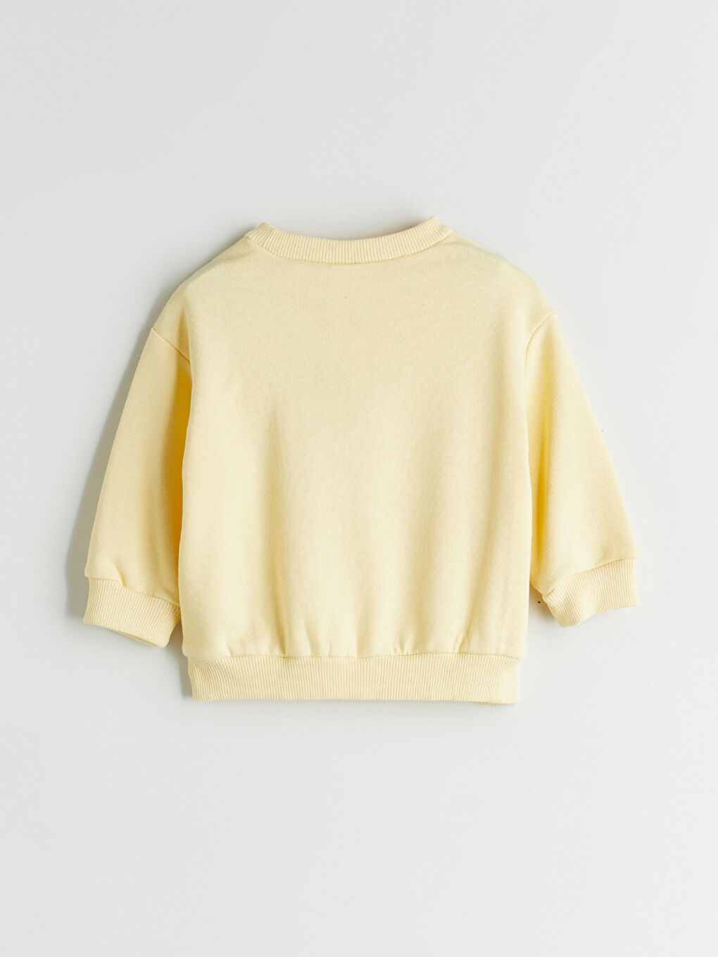 Crew Neck Printed Boys' Sweatshirt-2