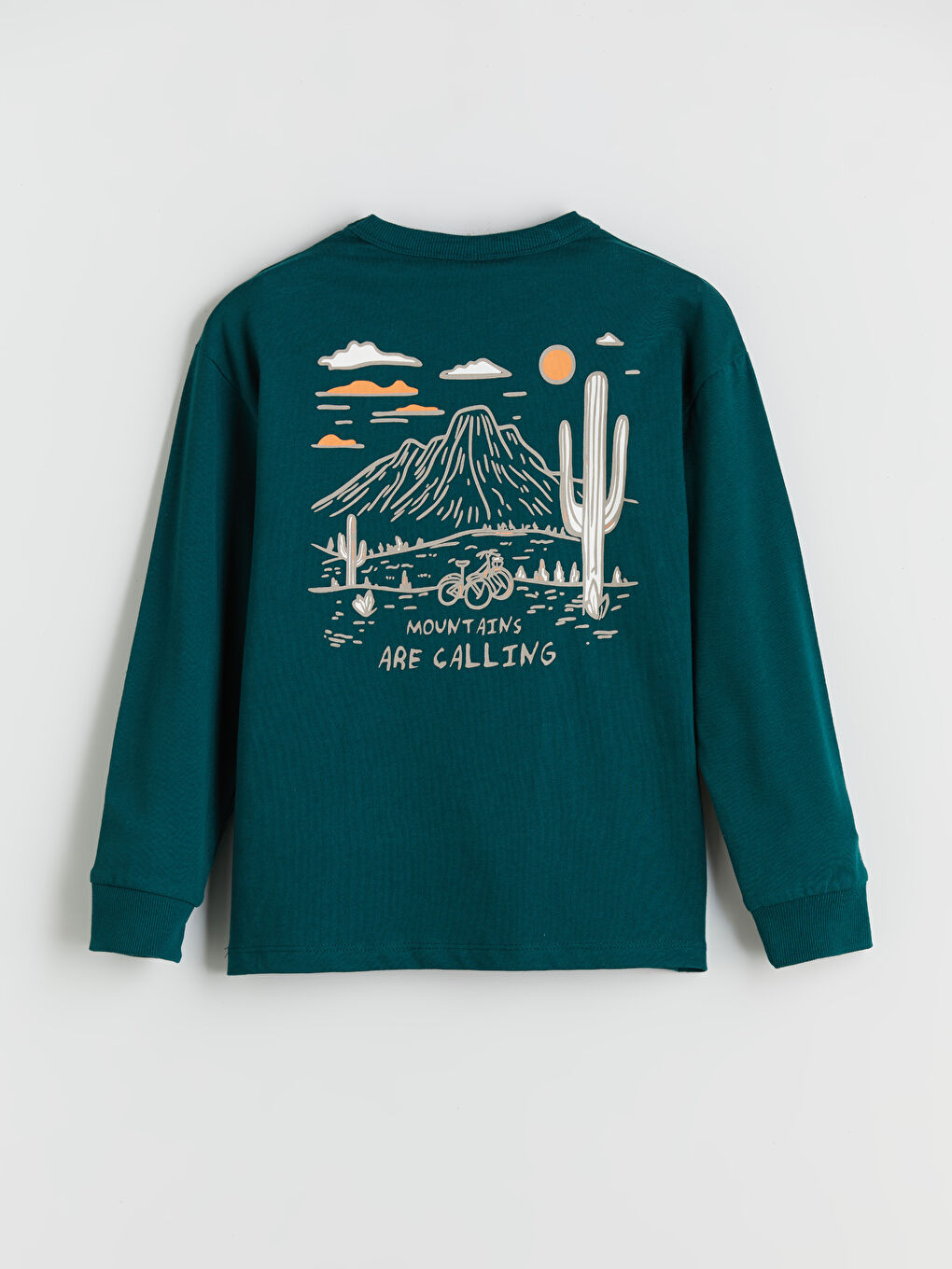 LCW Kids Crew Neck Printed Boys' T-Shirt -W5H108Z4-HLW