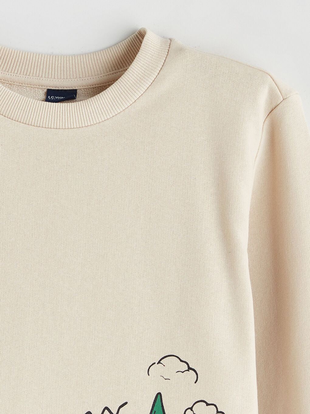 LCW ECO Crew Neck Boys' Sweatshirt -W5H112Z4-FWZ