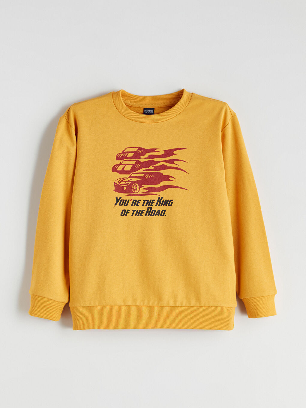 LCW ECO Crew Neck Boys' Sweatshirt -W5H871Z4-FGJ