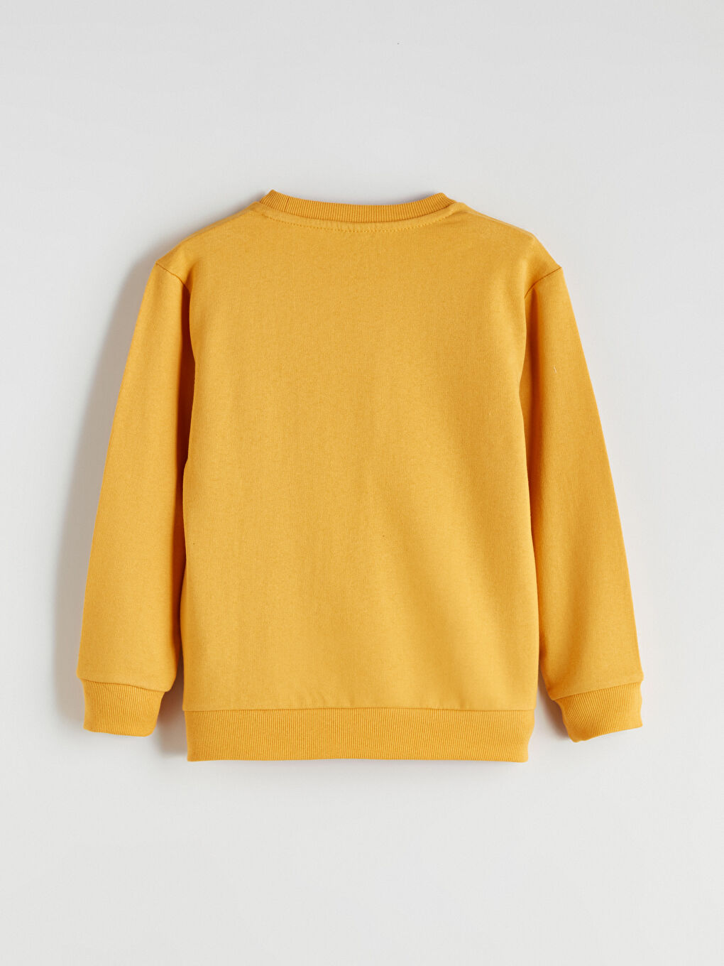 LCW ECO Crew Neck Boys' Sweatshirt -W5H871Z4-FGJ