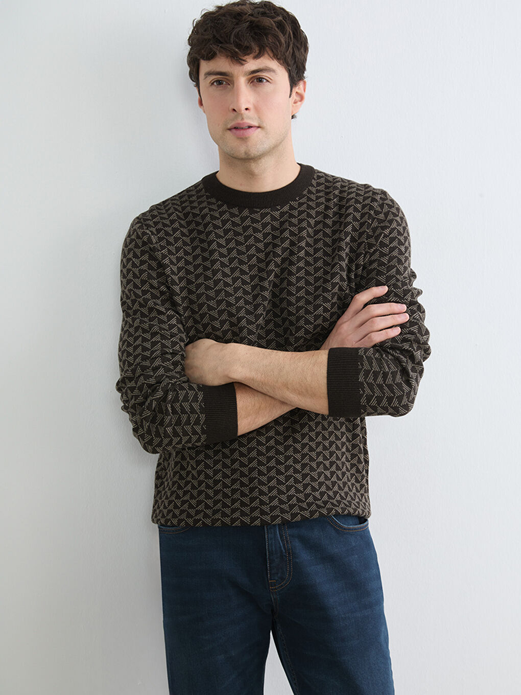 Men's Patterned Regular Fit Knitted Sweater