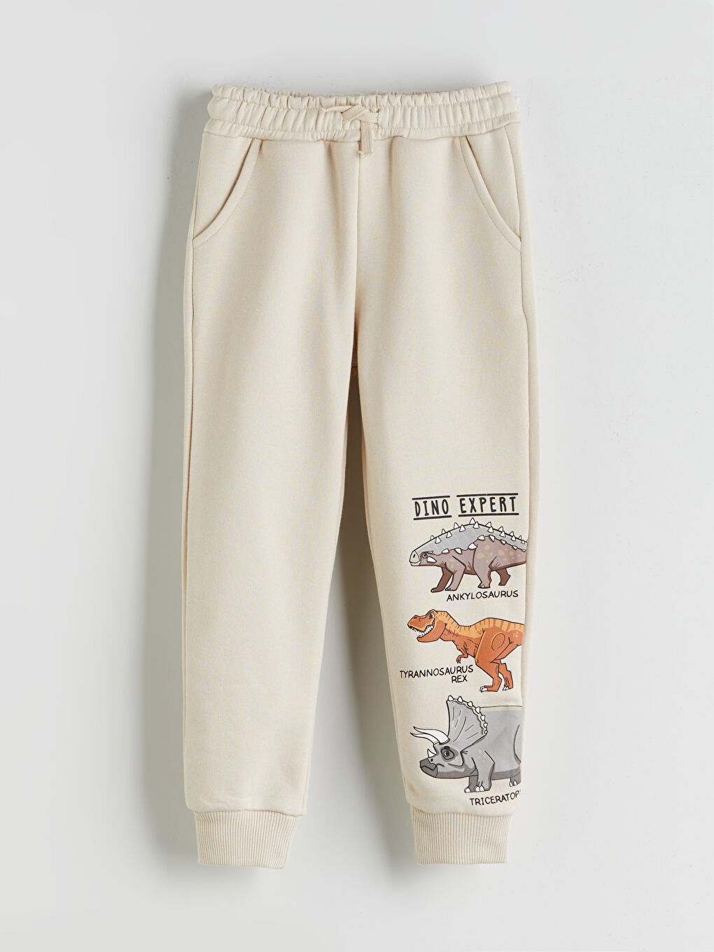Sweat-shirt et Pantalon de Survêtement pour Garçons Imprimés Dinosaure Lot de 2-3