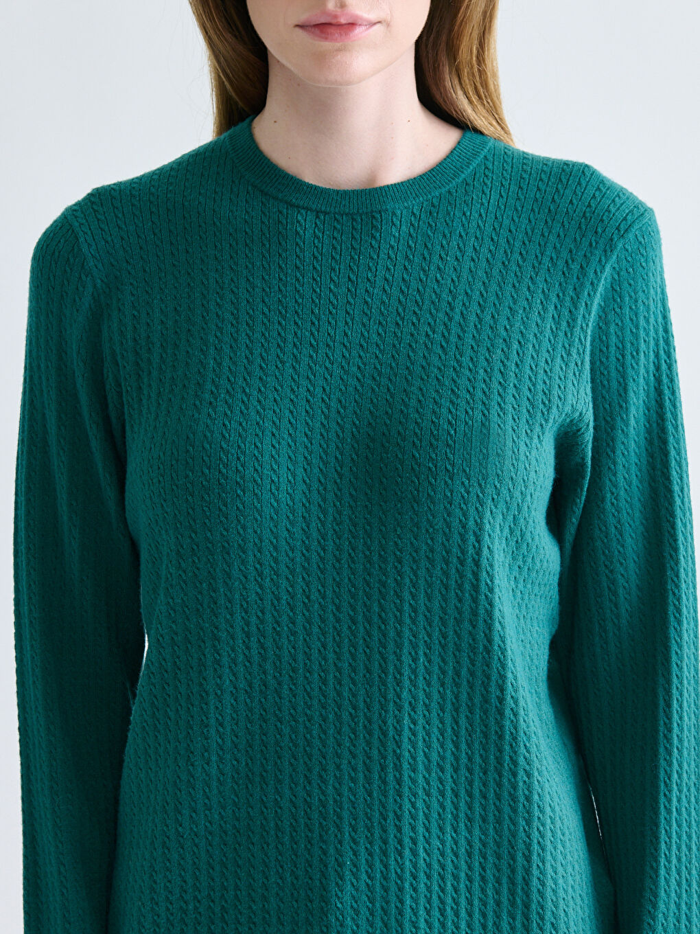 Crew Neck Self-Patterned Women's Knitwear Sweater-2