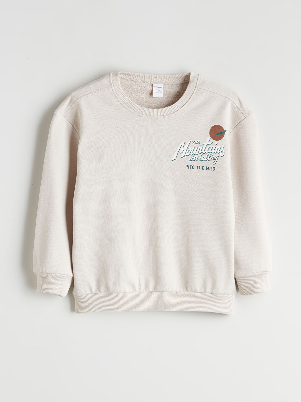 Gri Bisiklet Yaka Erkek Çocuk Sweatshirt-3