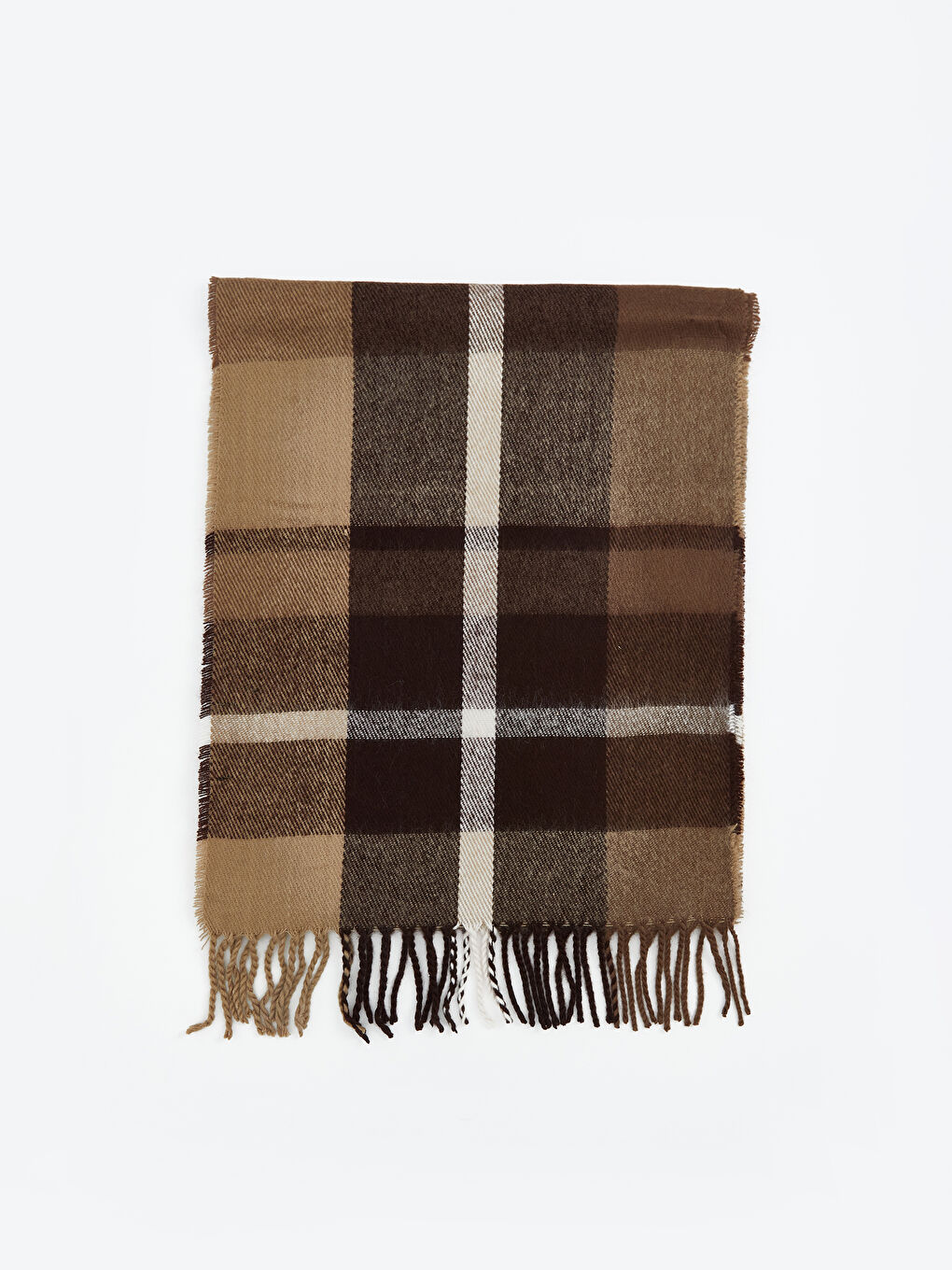 Tasseled Plaid Men's Scarf-1