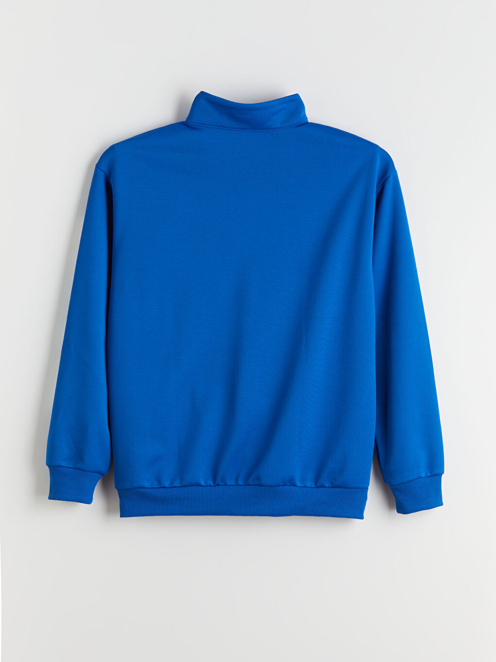 Mavi Dik Yaka Baskılı Erkek Sweatshirt-13