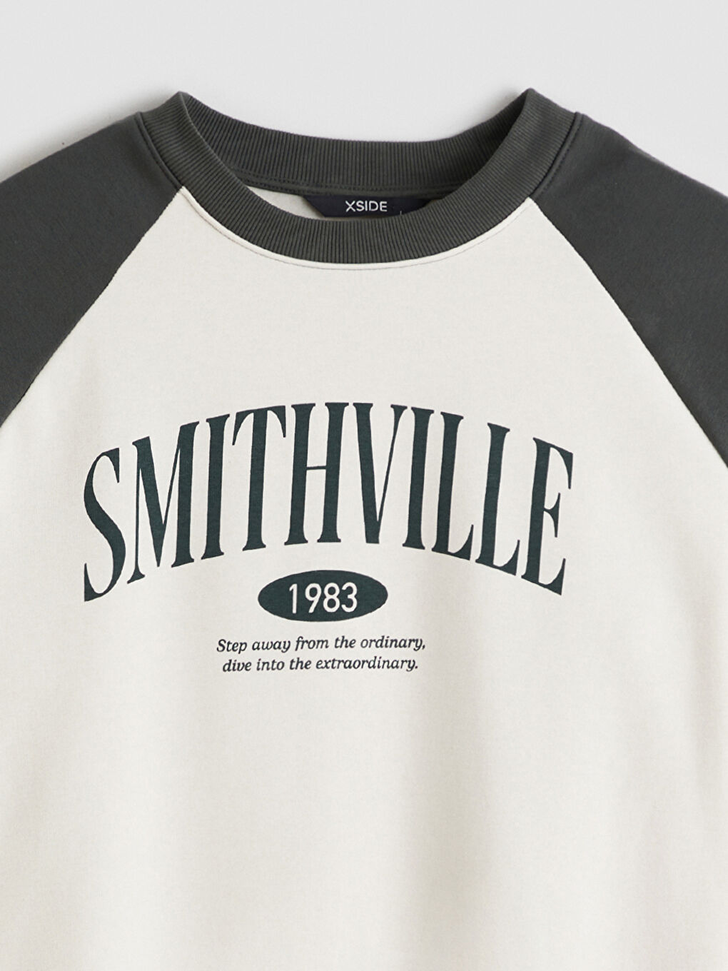 سويت شيرت للرجال مطبوع بياقة دائرية-6