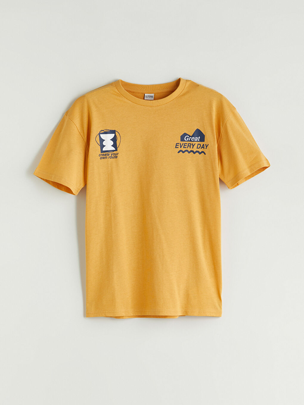 LCW Kids Crew Neck Printed Boys' T-Shirt -W5I530Z4-GLH