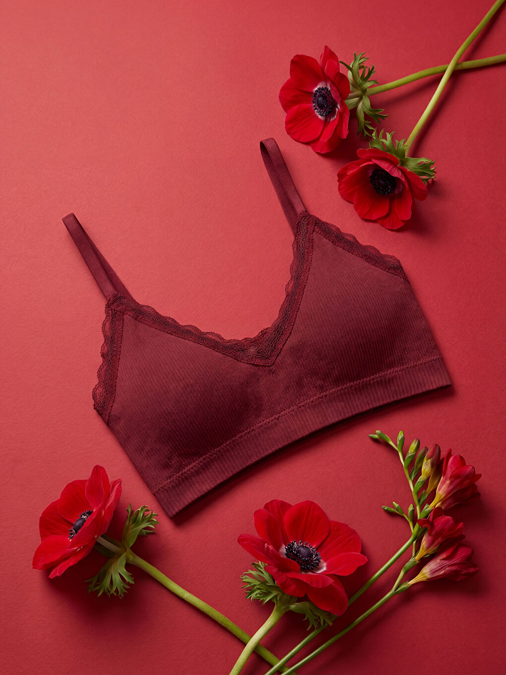 Non-Wired Non-Padded Plain Triangle Bra