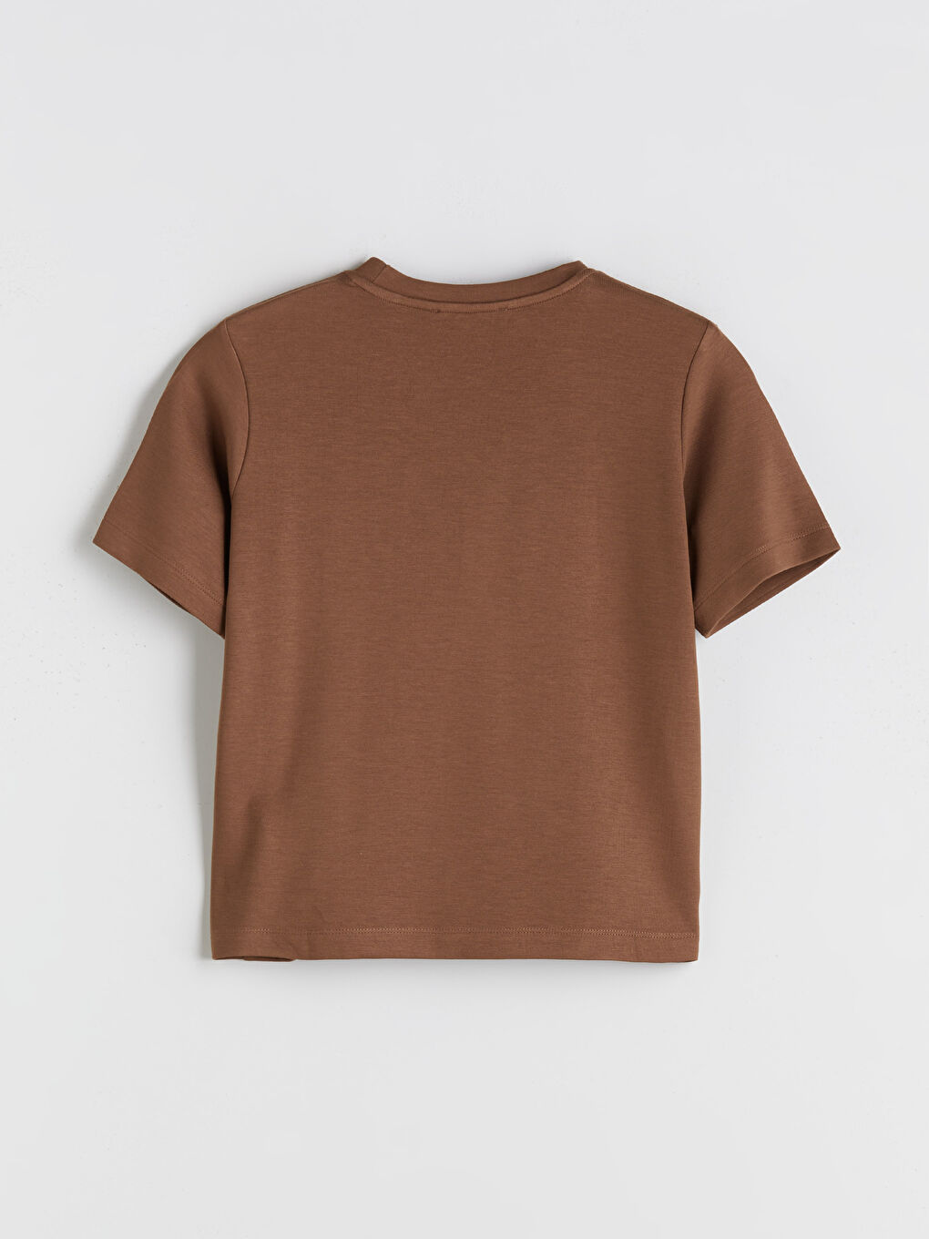 LCW Vision Crew Neck Embroidered Women's T-Shirt -W5I763Z8-HAK