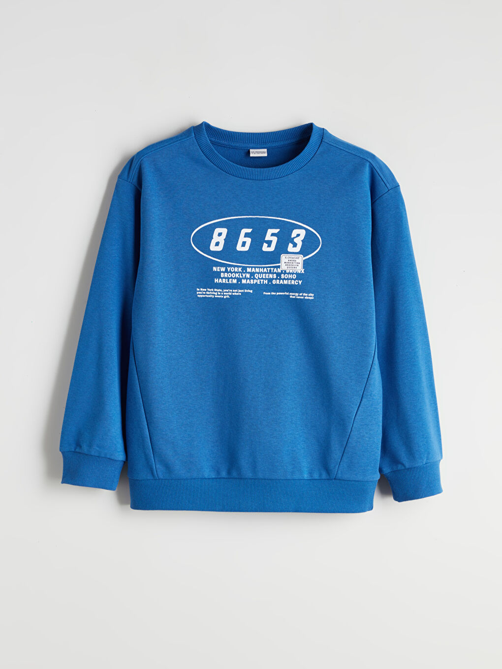 Mavi Bisiklet Yaka Erkek Çocuk Sweatshirt