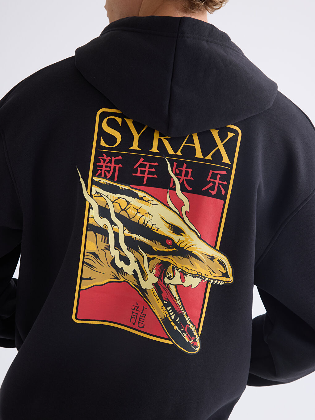 هودي بغطاء للرأس وكم طويل مطبوع بيت التنين للرجال-2