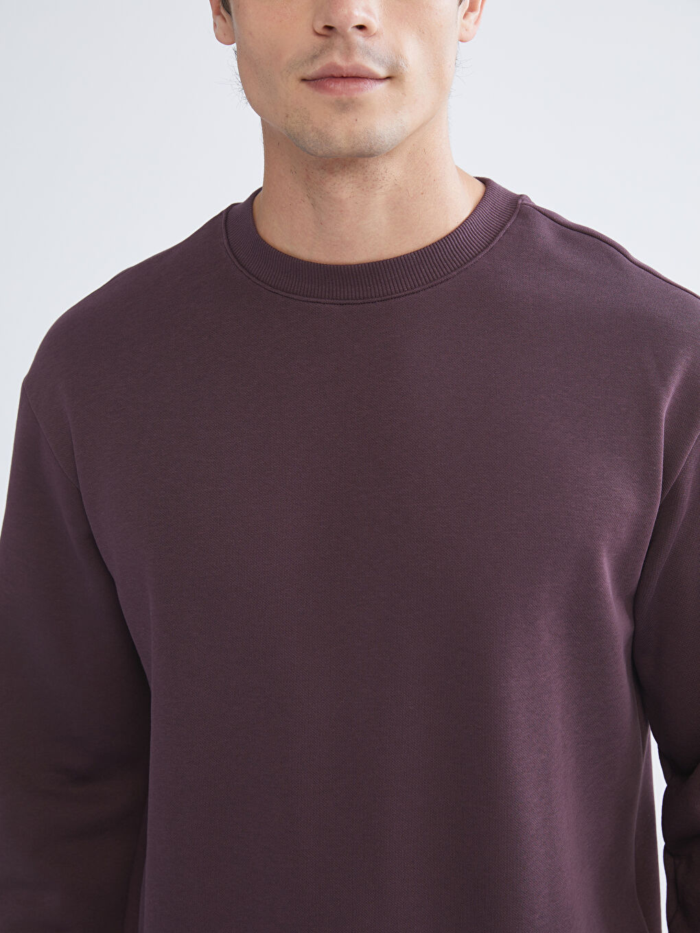 Mürdüm Bisiklet Yaka Erkek Sweatshirt-2