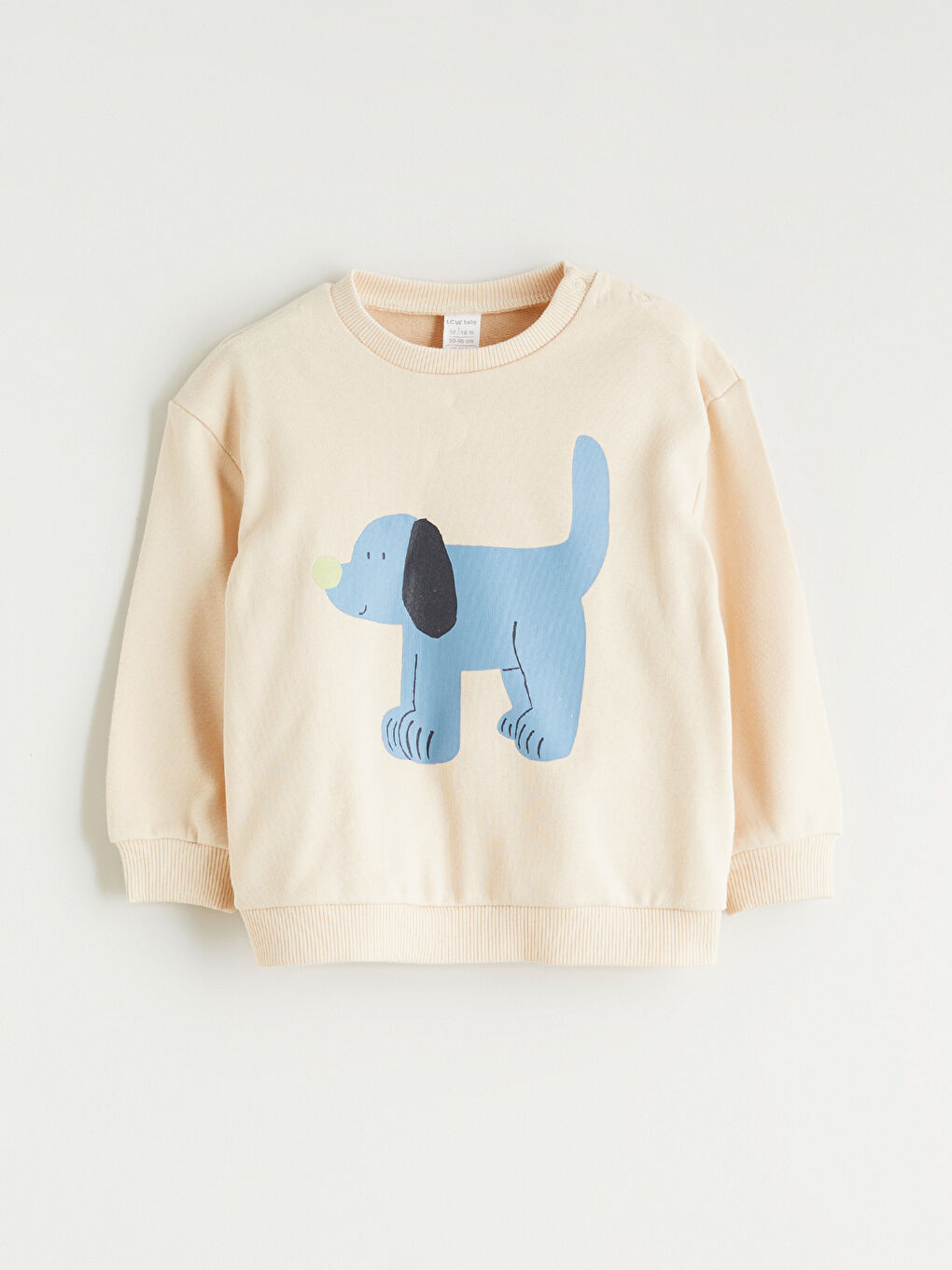 Crew Neck Baby Boys' Sweatshirt and Trousers 2 Pack-1