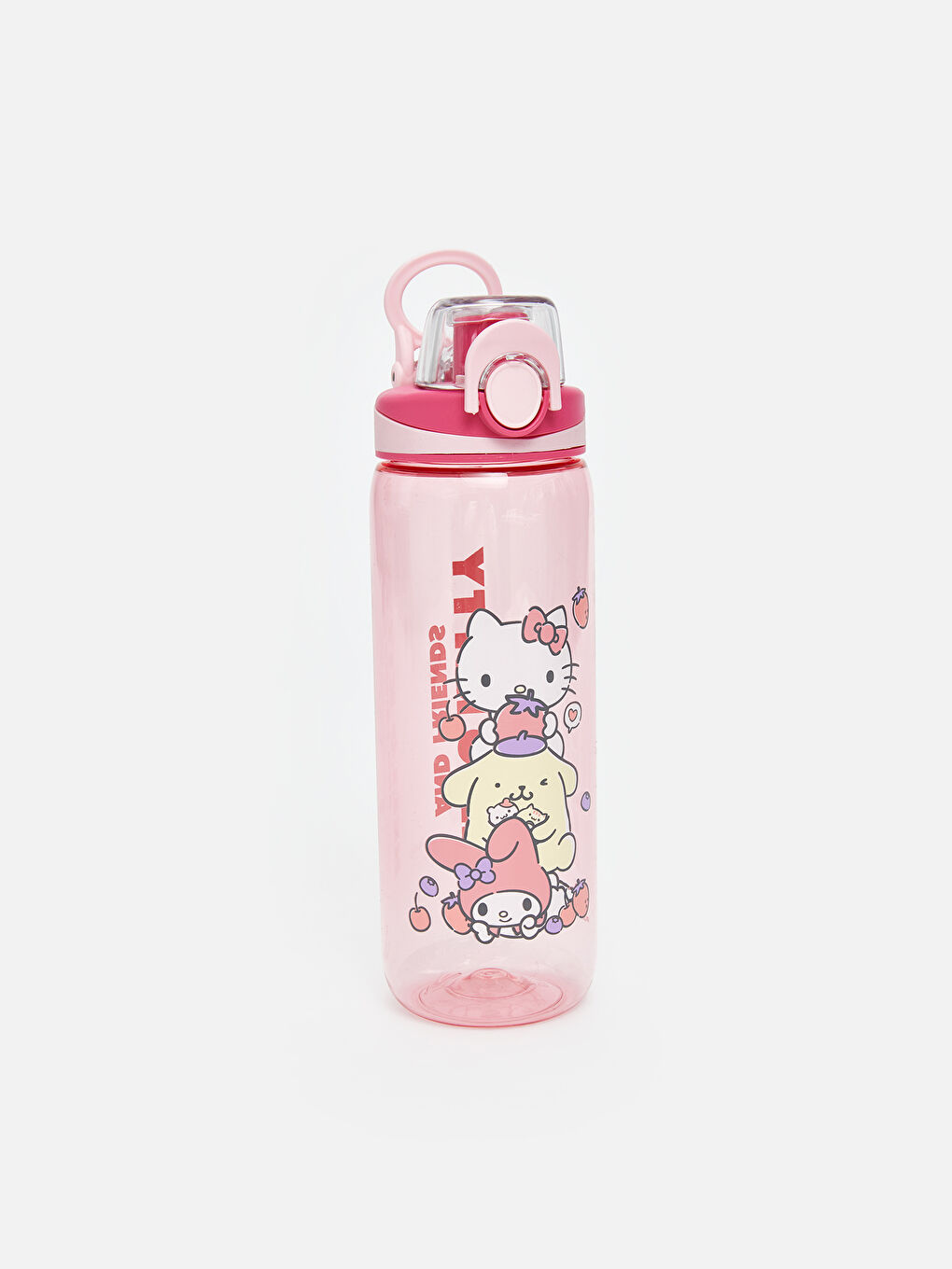 Karışık Hello Kitty Baskılı Kız Çocuk Suluk 630 ml