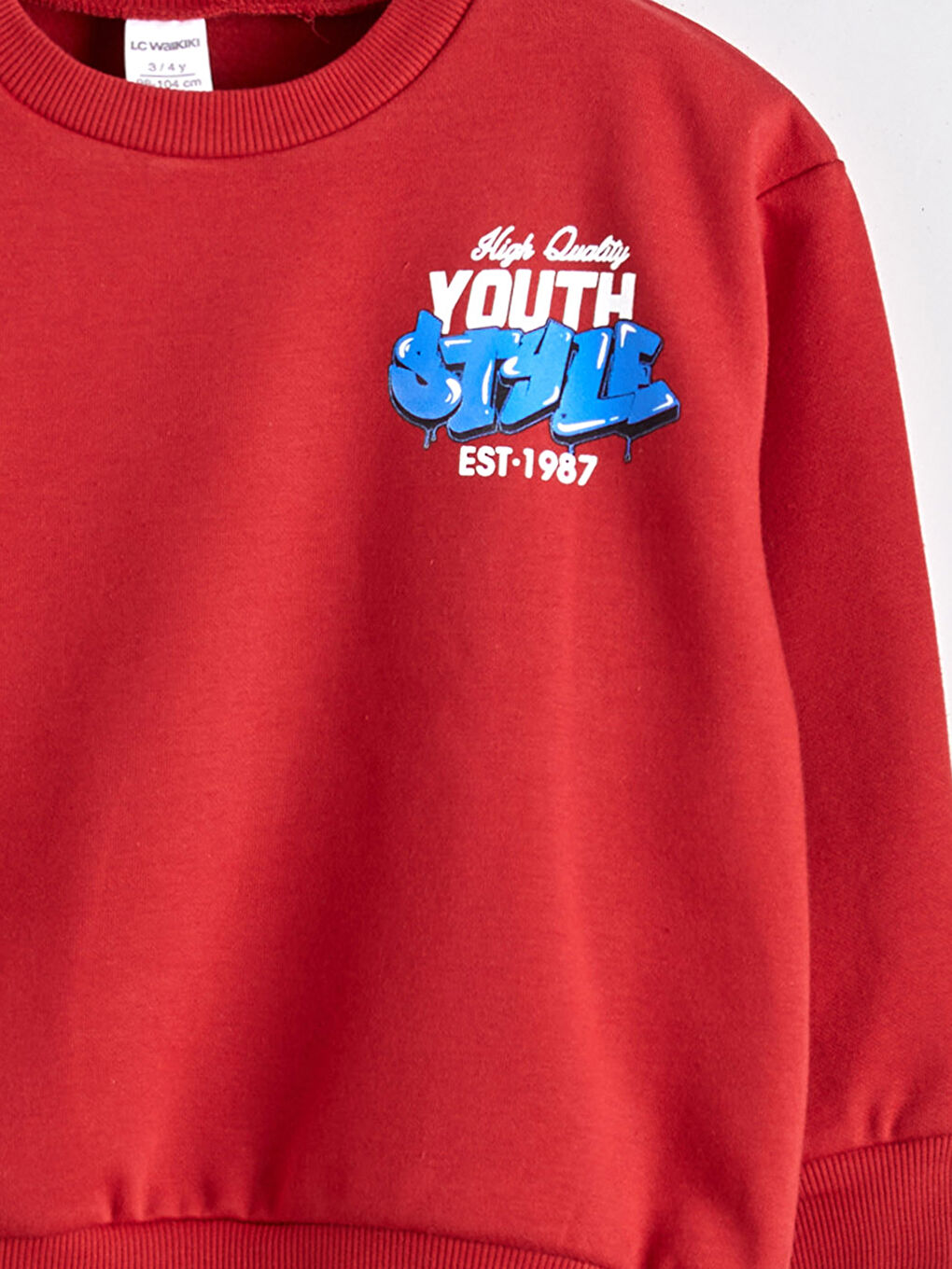 Sweat-shirt Épais Imprimé pour Garçons-3