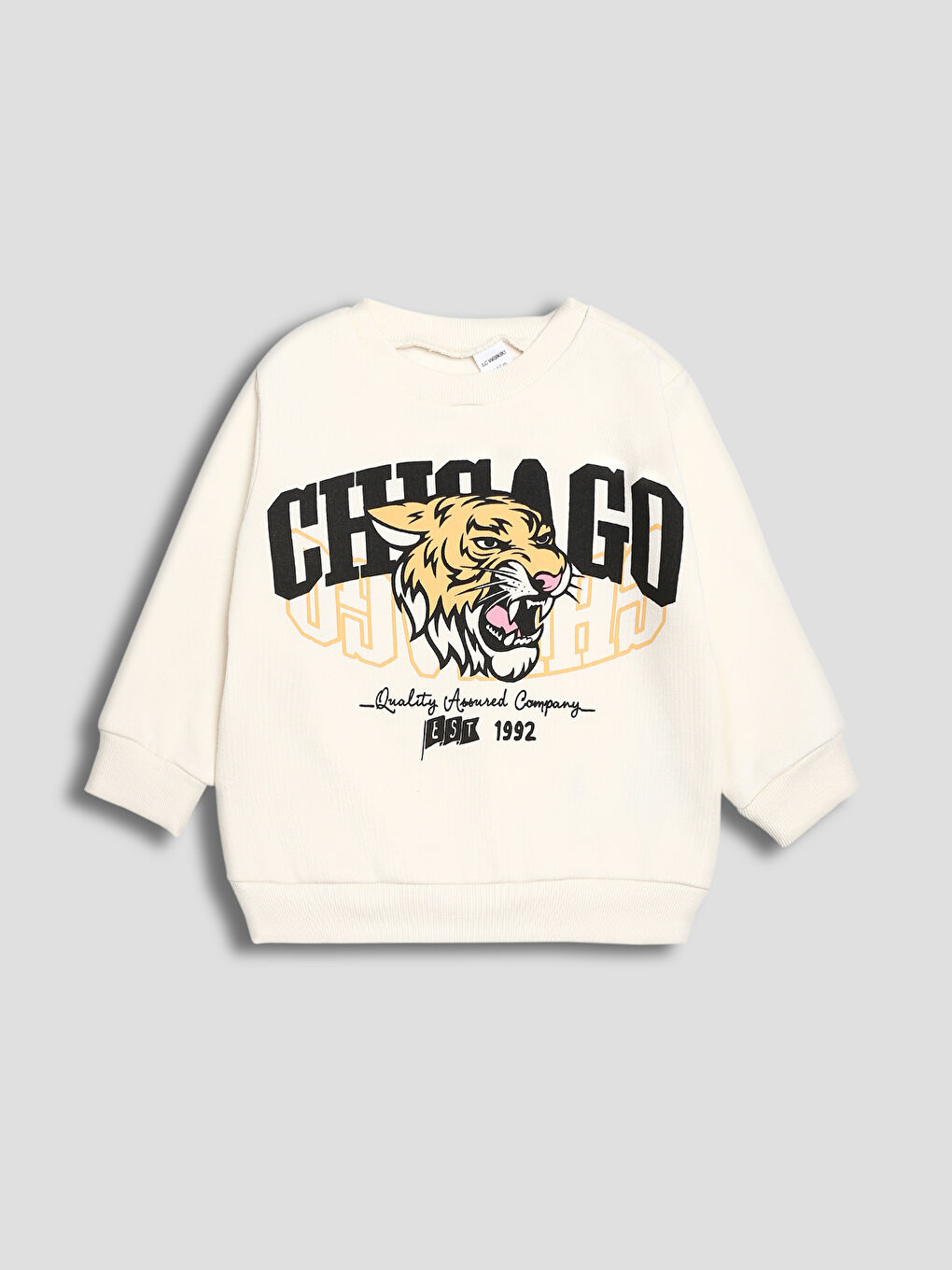 Printed Boys' Sweatshirt 2 Pack-4