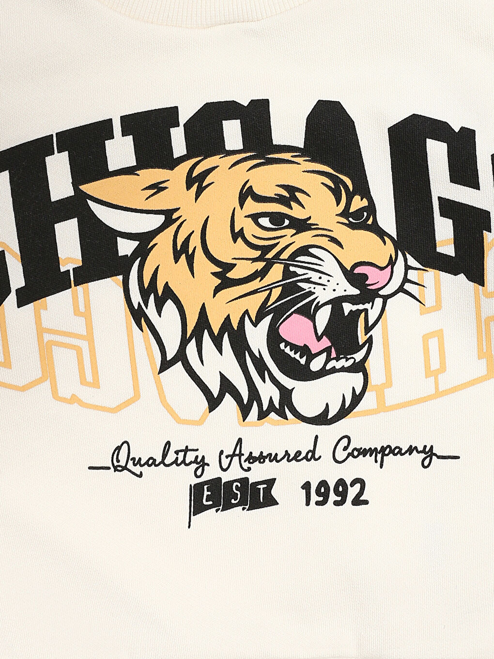 Printed Boys' Sweatshirt 2 Pack-6