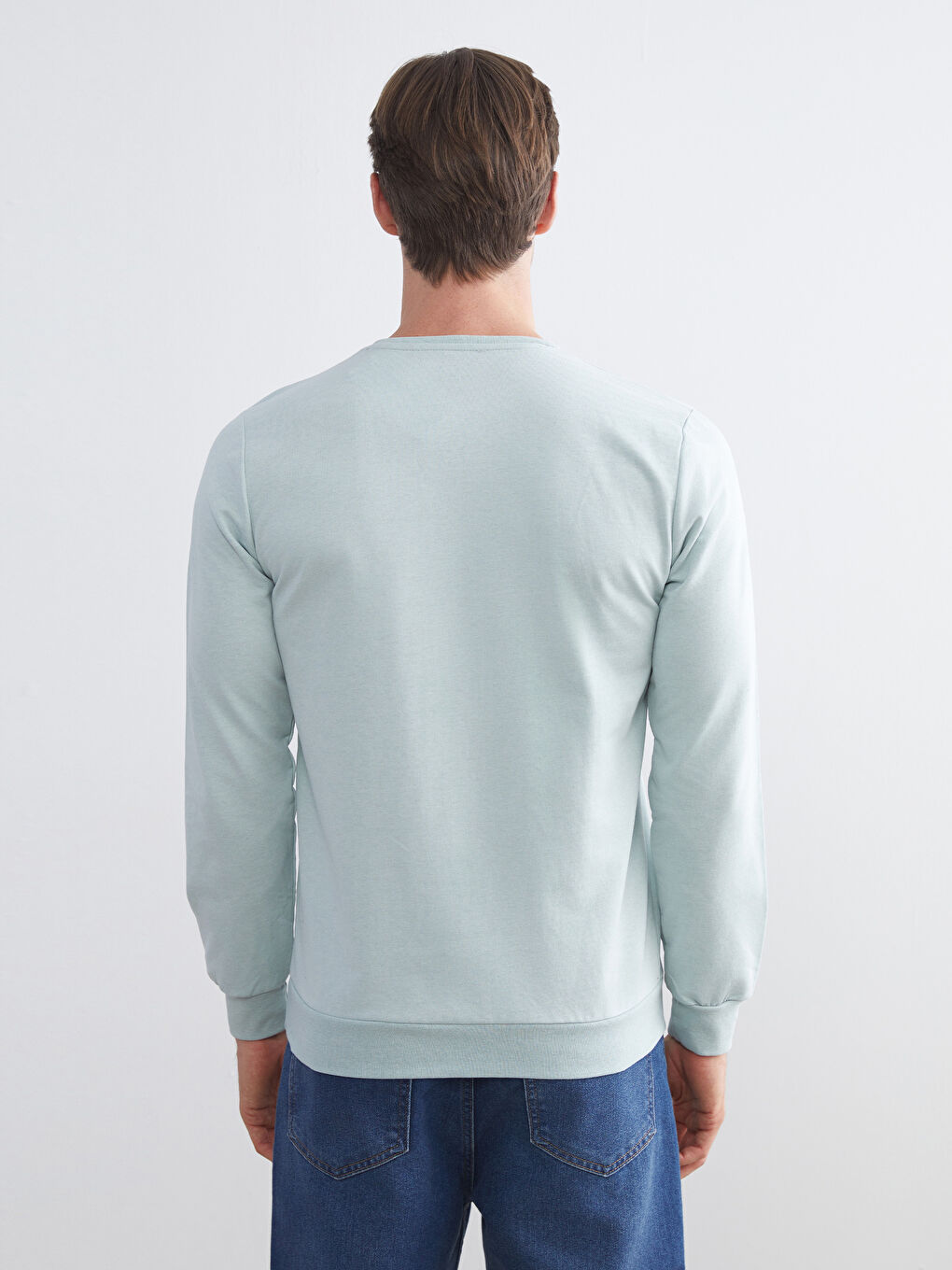 Crew Neck Printed Men's Sweatshirt-3