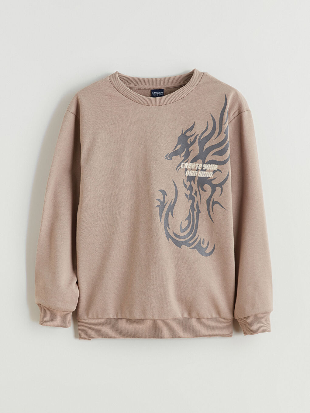 Bej Bisiklet Yaka Erkek Çocuk Sweatshirt