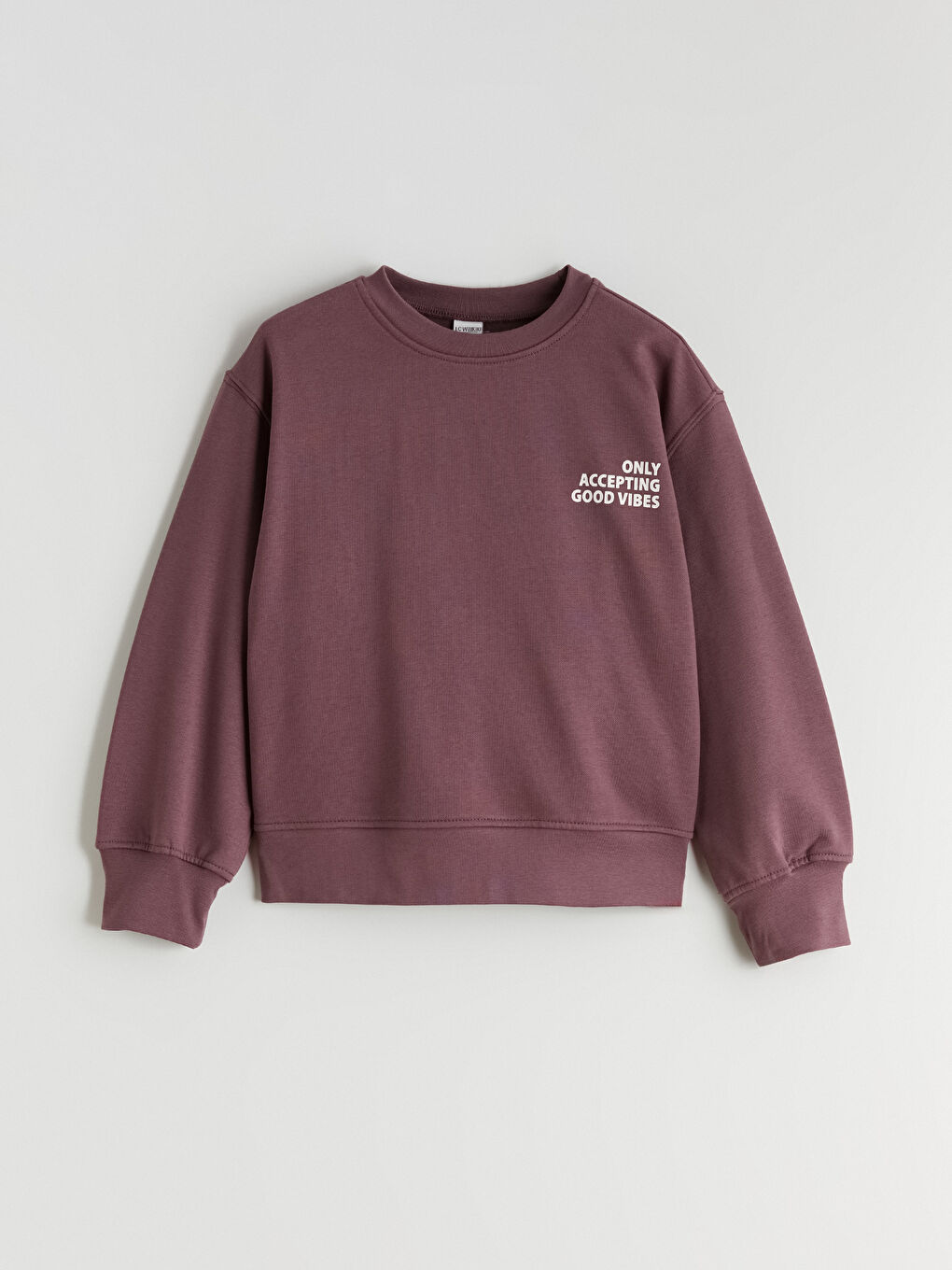 Crew Neck Printed Girls' Thick Sweatshirt-1