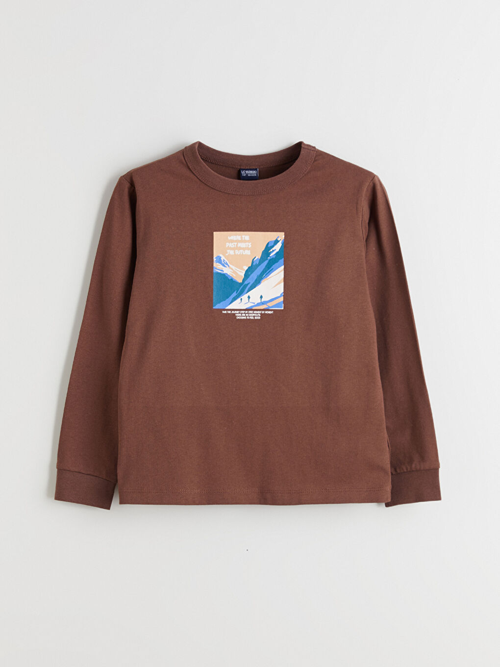 Kahverengi Bisiklet Yaka Erkek Çocuk Tişört