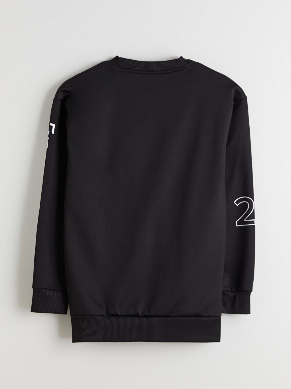 Crew Neck Printed Men's Sweatshirt-1