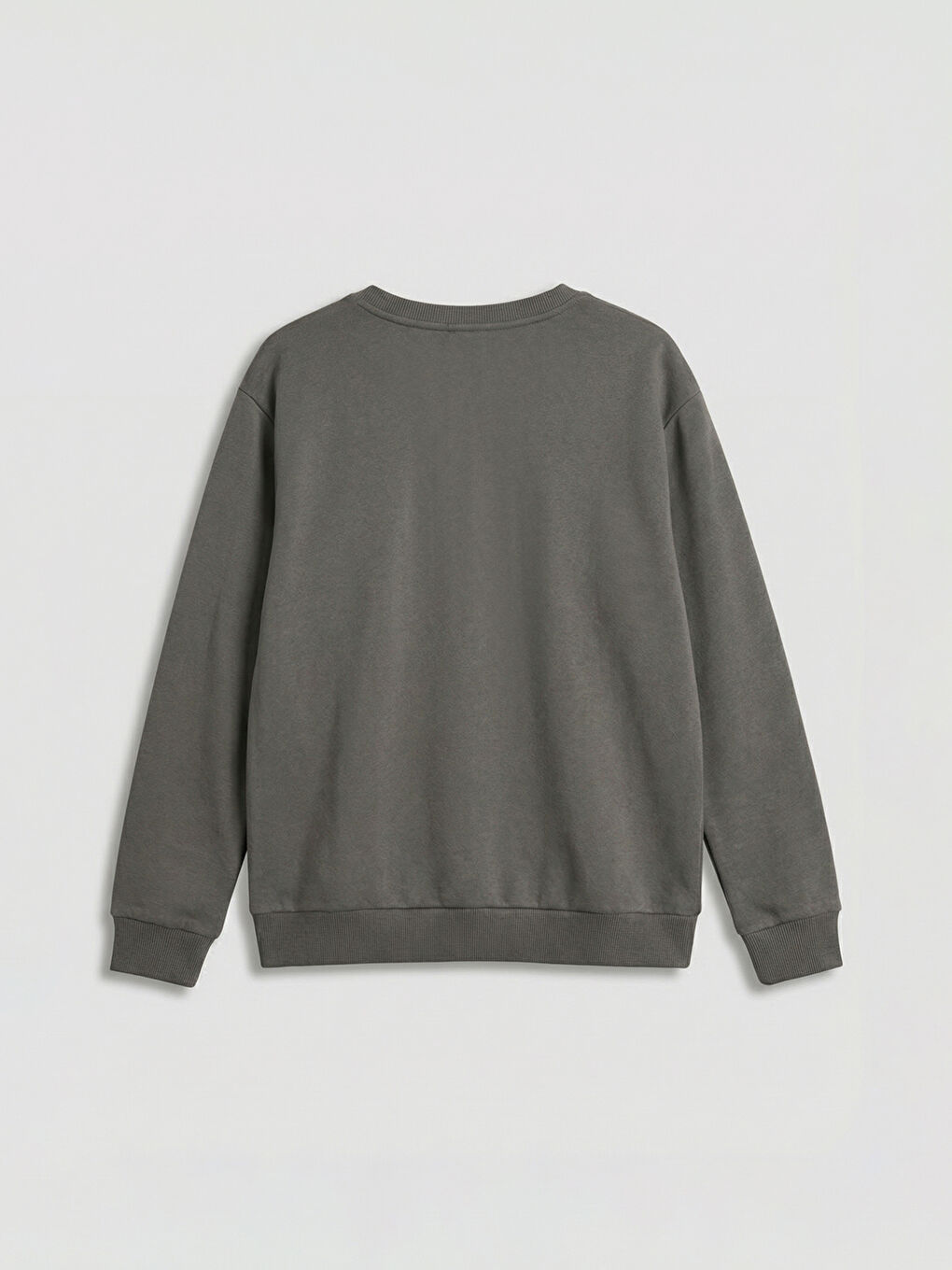 Printed Boys' Thick Sweatshirt-1