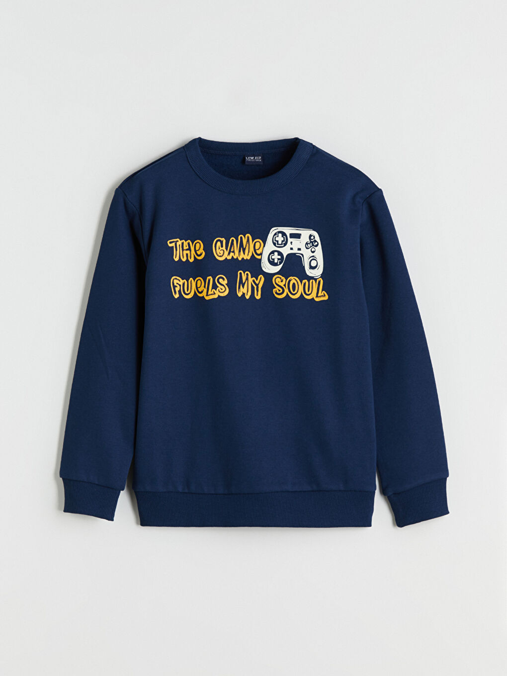 Printed Boys' Thick Sweatshirt