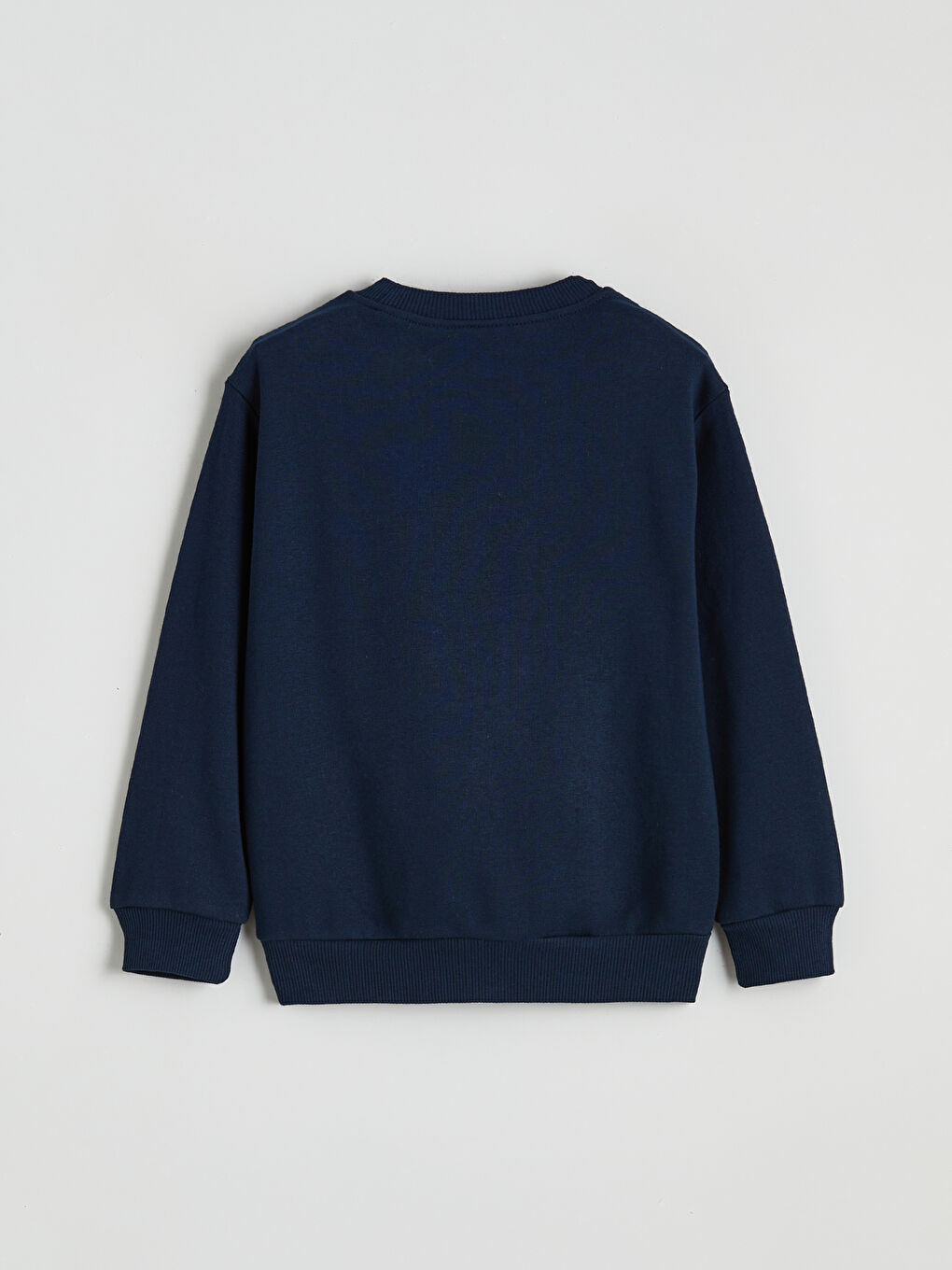 Lacivert Aslan Baskılı Erkek Çocuk Sweatshirt-2