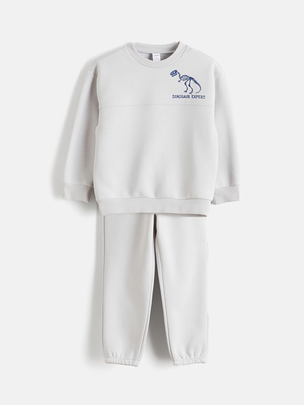 Gri Dinozor Baskılı Erkek Çocuk Sweatshirt ve Eşofman Altı