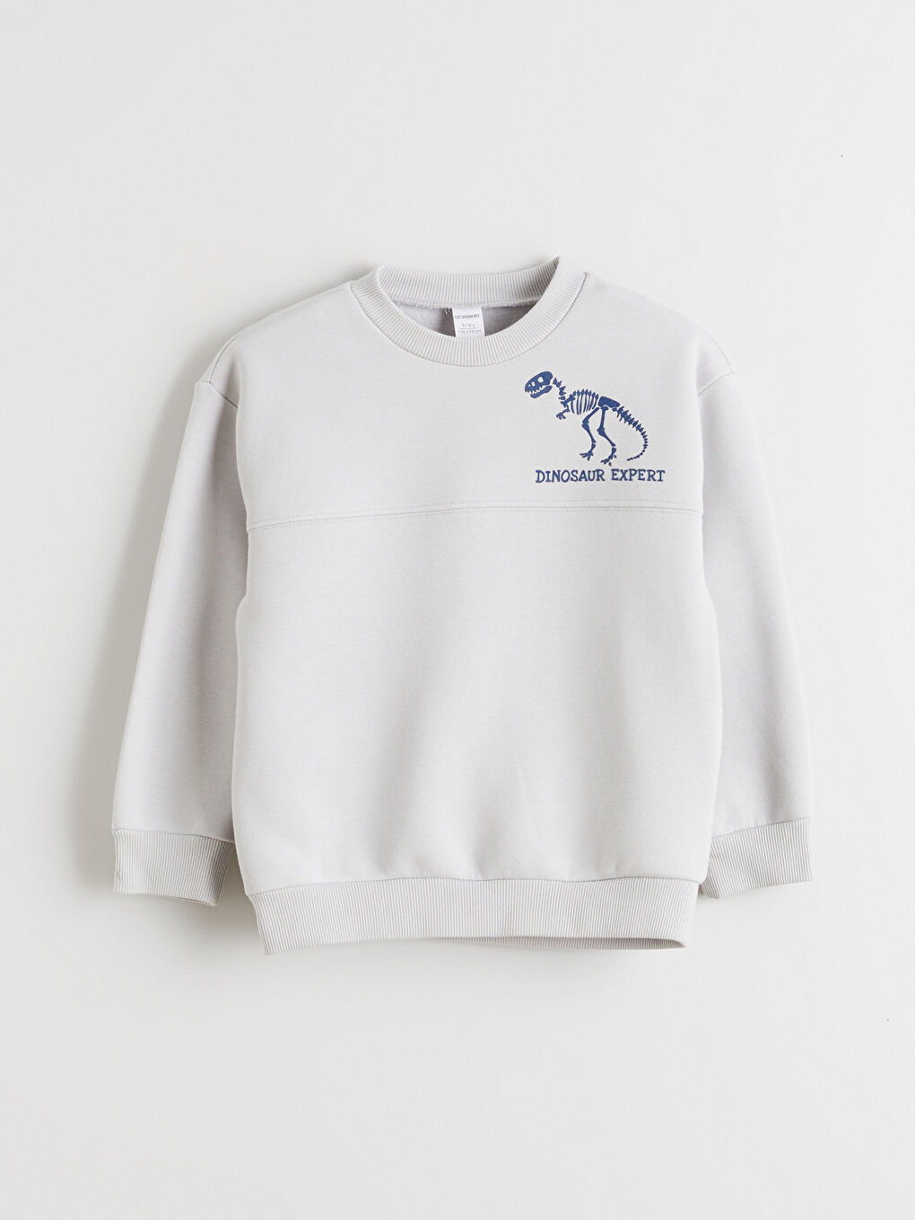Gri Dinozor Baskılı Erkek Çocuk Sweatshirt ve Eşofman Altı-1