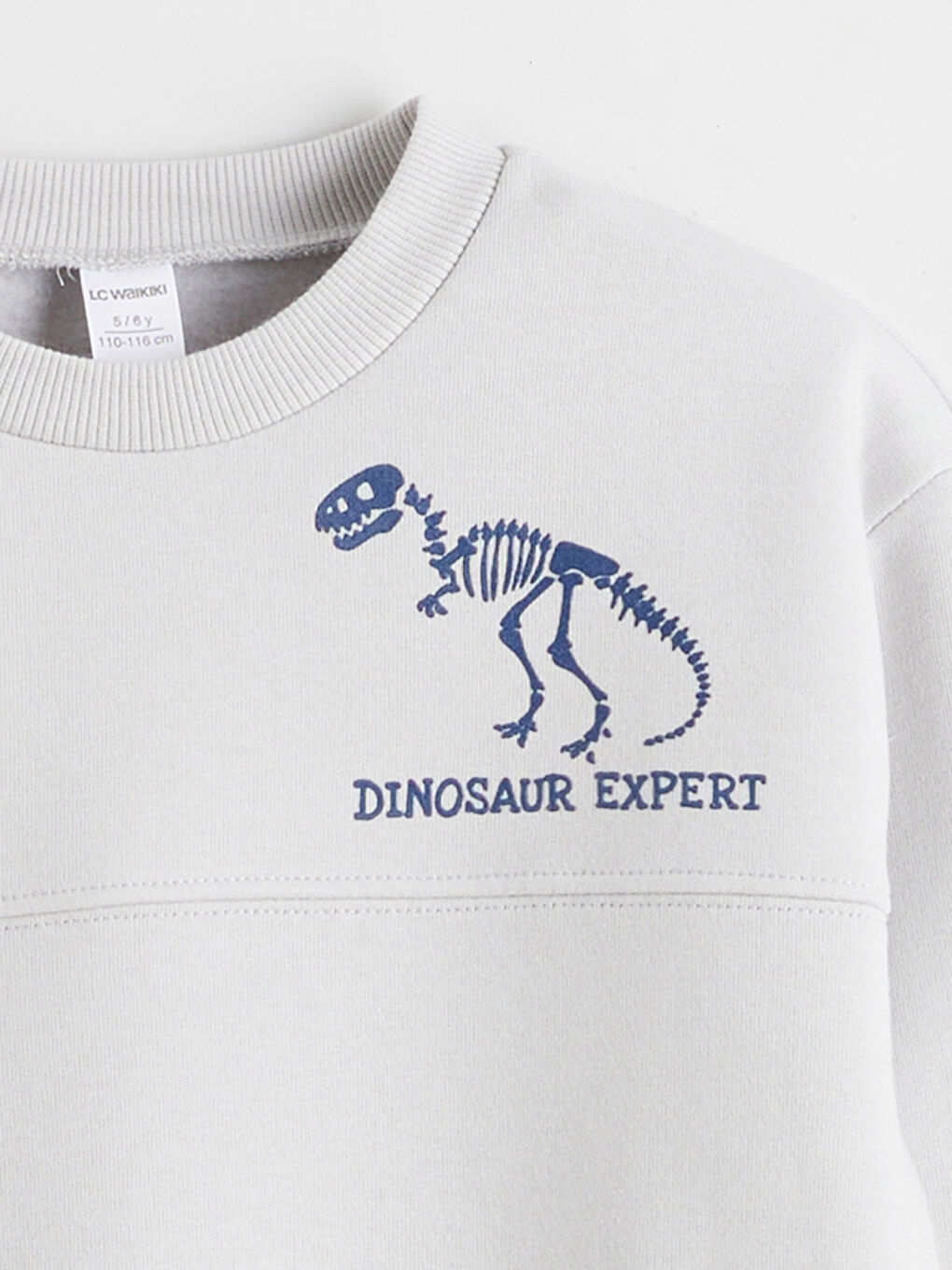 Gri Dinozor Baskılı Erkek Çocuk Sweatshirt ve Eşofman Altı-2