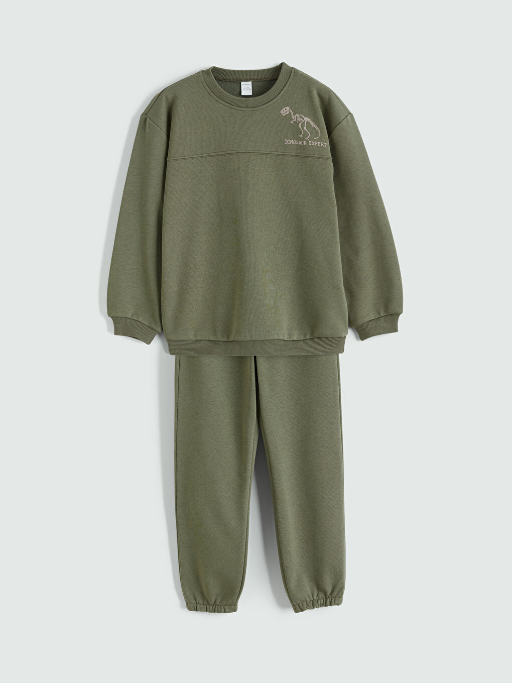 Dinosaur Printed Boys' Sweatshirt and Sweatpants-2