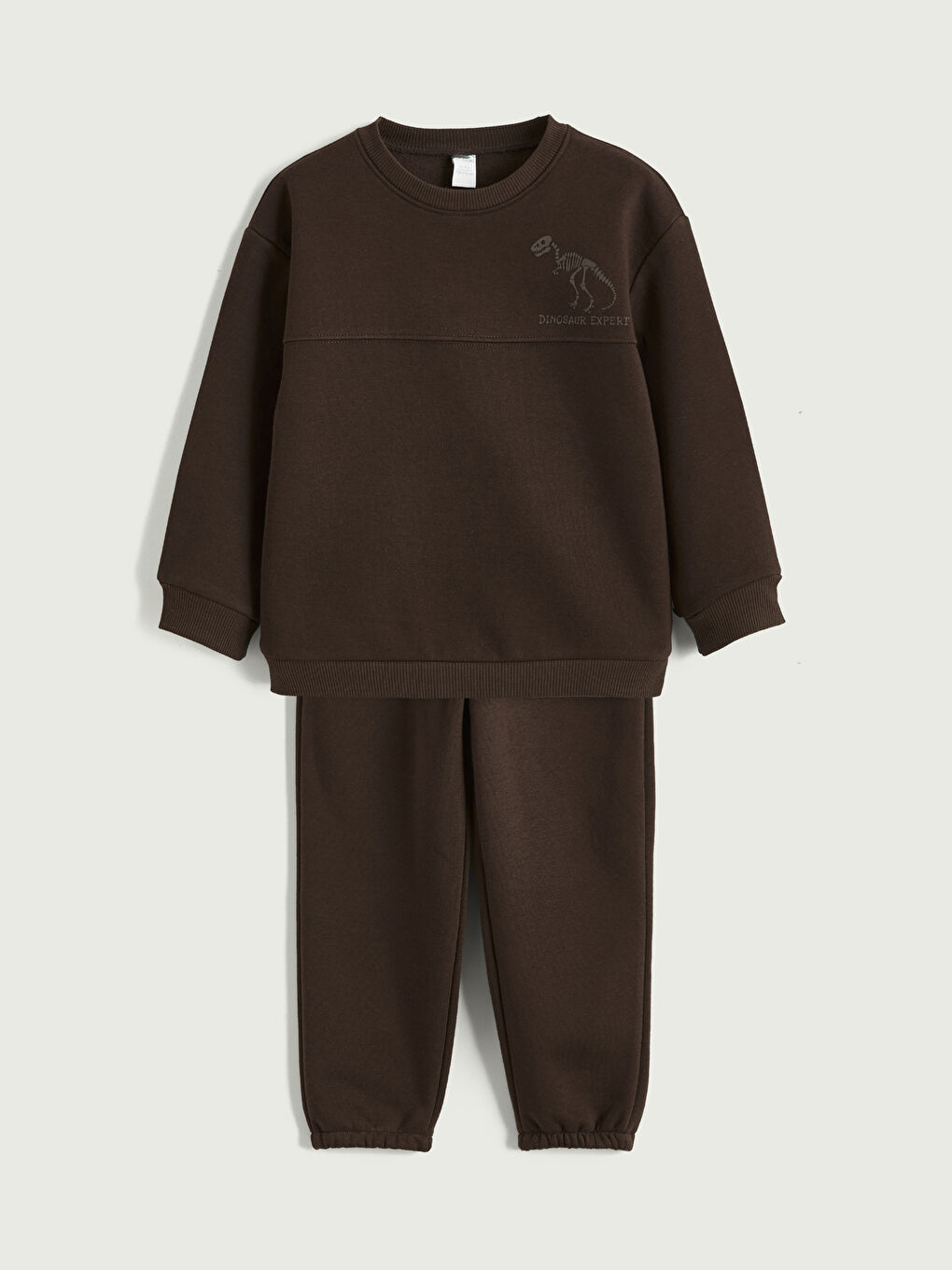 Kahverengi Dinozor Baskılı Erkek Çocuk Sweatshirt ve Eşofman Altı