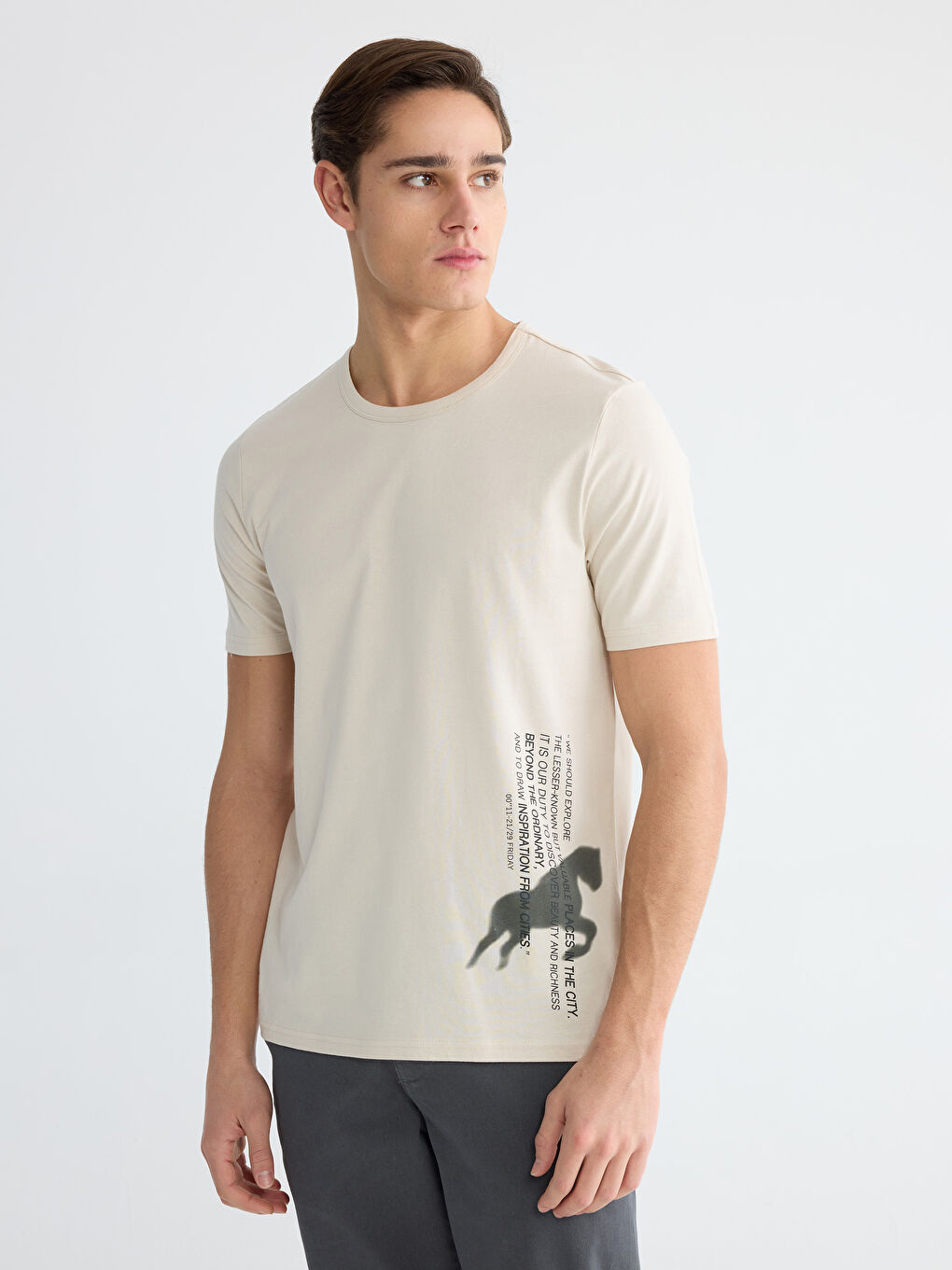 Majica sa okruglim izrezom, štampana, džersi, za muškarce