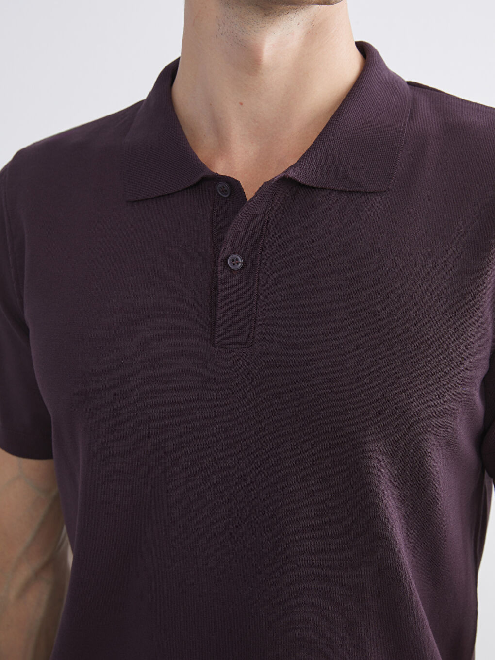 Mürdüm Polo Yaka Erkek Triko Kazak-2