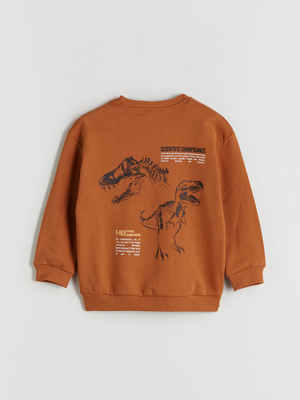 Gri Dinozor Figürlü Erkek Çocuk Sweatshirt 2'li-1