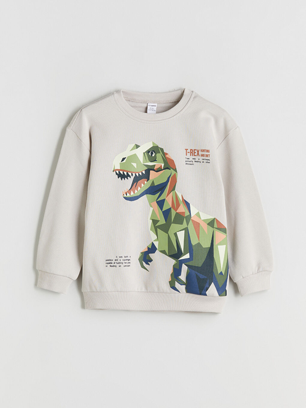 Gri Dinozor Figürlü Erkek Çocuk Sweatshirt 2'li-2