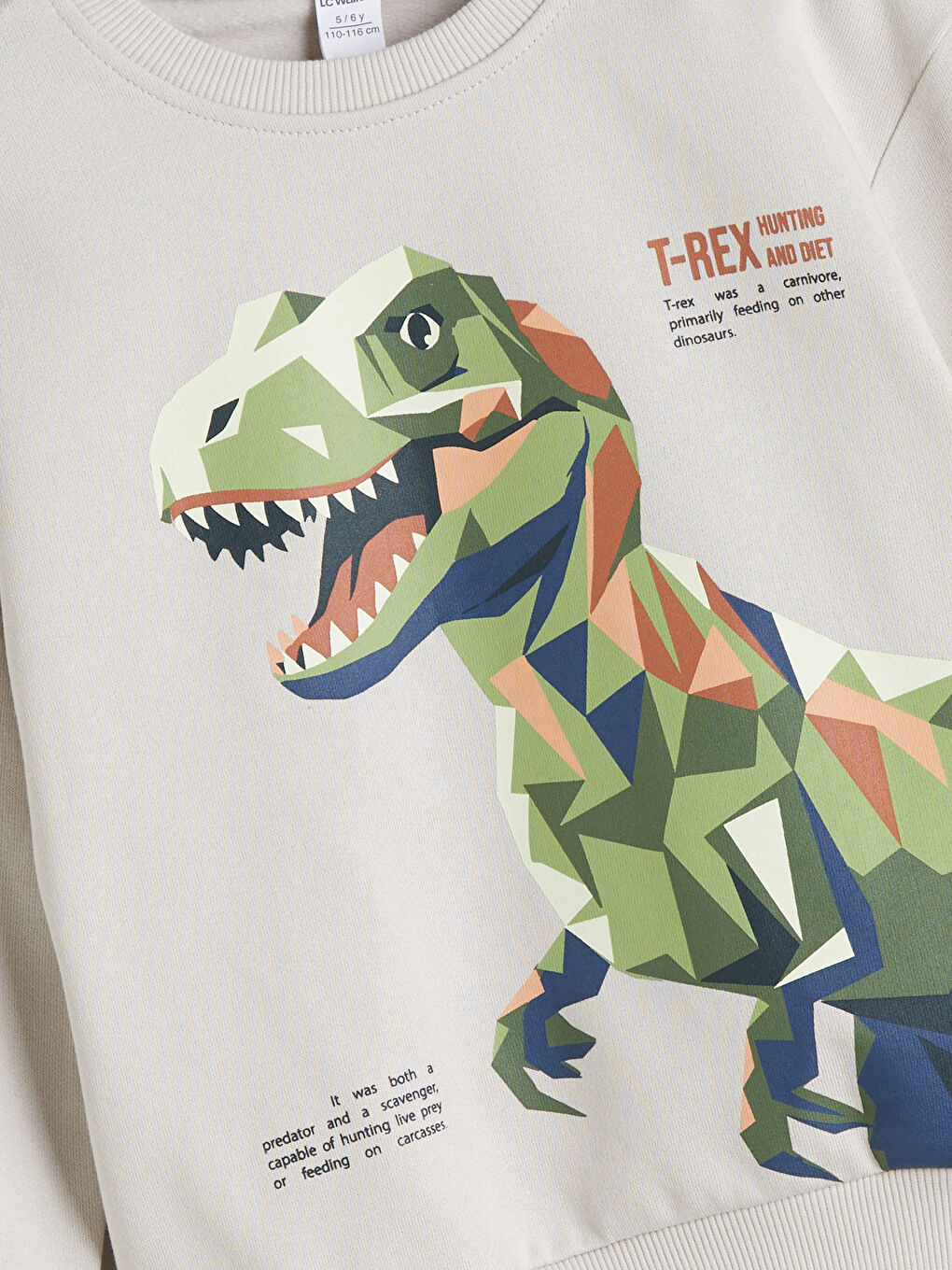 Gri Dinozor Figürlü Erkek Çocuk Sweatshirt 2'li-4