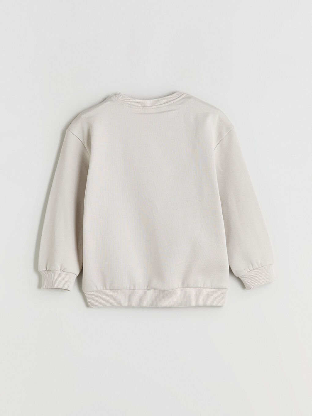 Gri Dinozor Figürlü Erkek Çocuk Sweatshirt 2'li-5