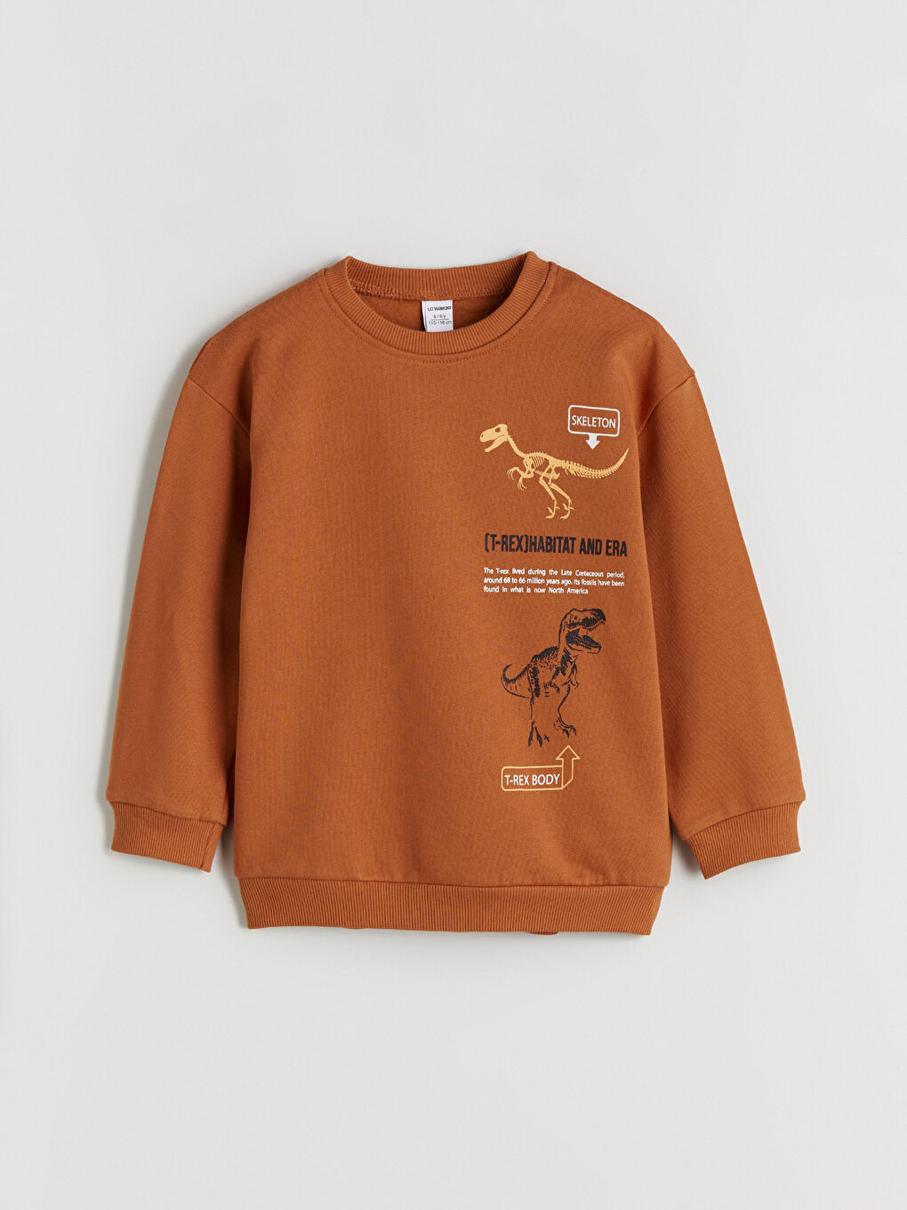 Gri Dinozor Figürlü Erkek Çocuk Sweatshirt 2'li-6